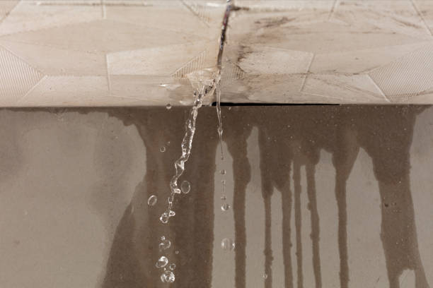 Professional Burst Pipe Cleanup technician working in Newcomb, TN
